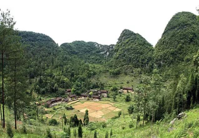 1618838367753433.png 原貌.png