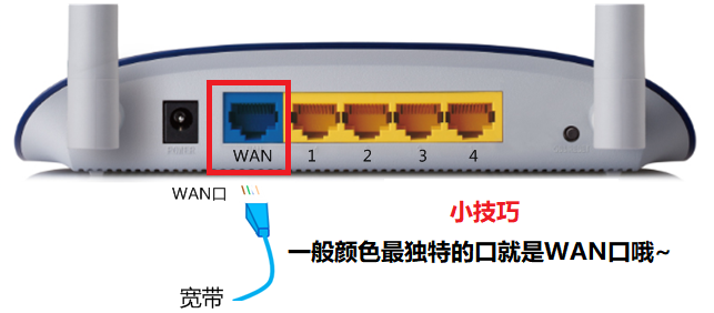 8f064aea-ef02-4031-83dd-8e6781b30e99.png