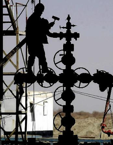 △塔里木油田公司和中国新星石油公司正在对一些气藏进行详查,为西气东输管道工程提供更加可靠的资源保证