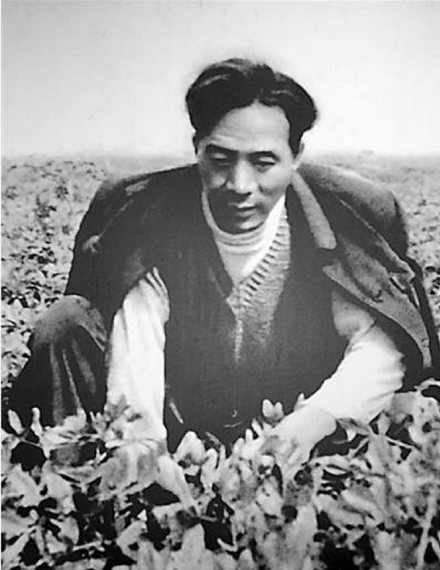 1615985490357151.png 2021020708342047895.png